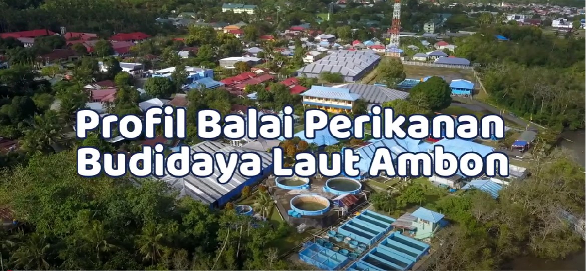 Profil Balai Perikanan Budidaya Laut Ambon