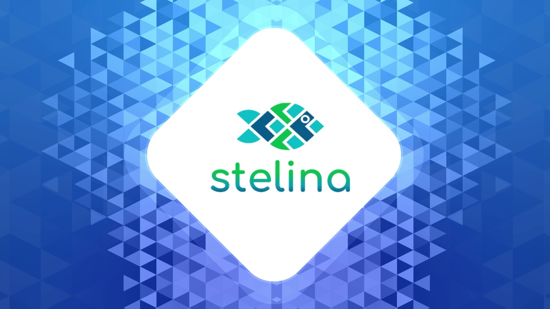 Sistem Ketertelusuran dan Logistik Ikan Nasional (Stelina)