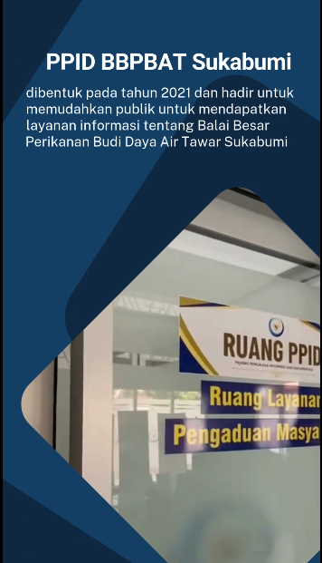 Informasi Mengenai Pelayanan Informasi Publik