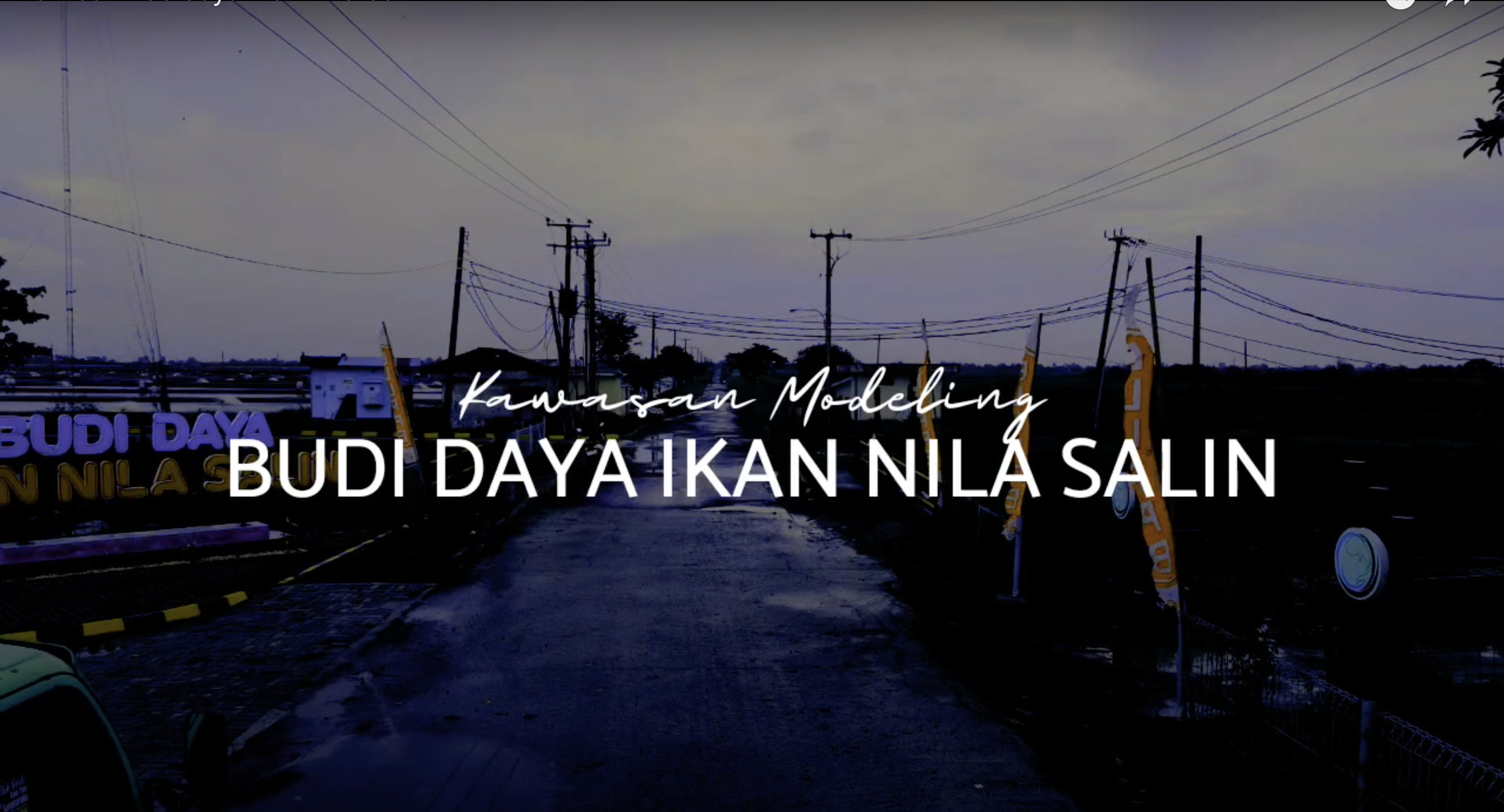 Kawasan Modeling Budi daya Ikan Nila Salin
