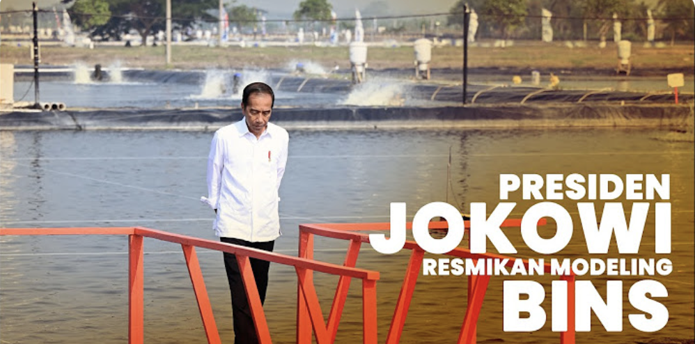 Peresmian Tambak Budidaya Ikan Nila Salin oleh Bapak Presiden Jokowidodo