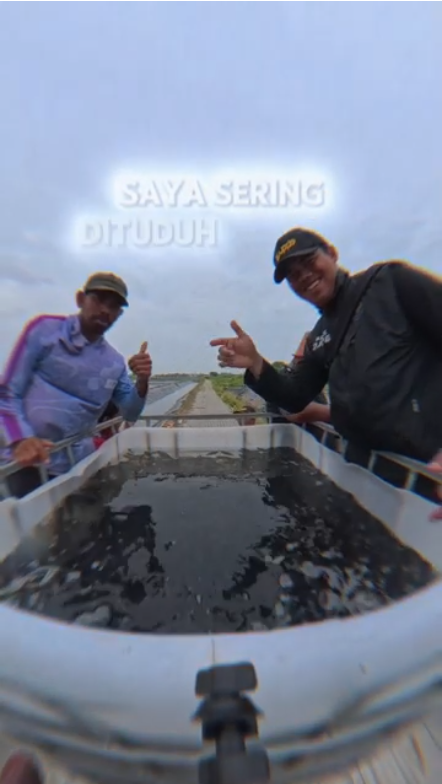 Seleksi Benih Ikan Nila Salin 40 Gram di BLUPPB Karawang