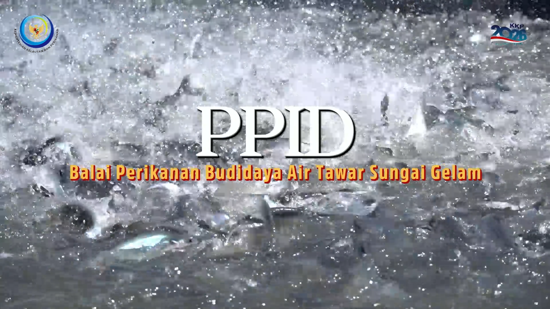 PPID Balai Perikanan Budidaya Air Tawar Sungai Gelam