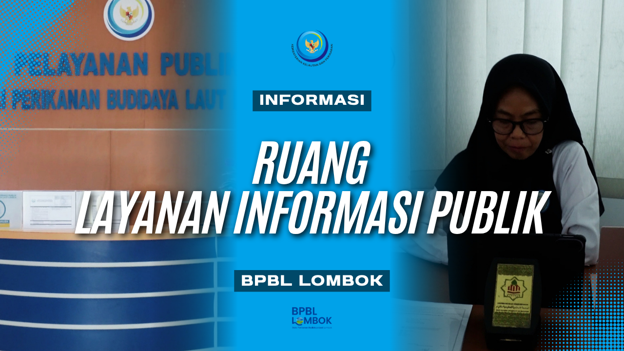 Ruang Layanan Informasi Publik