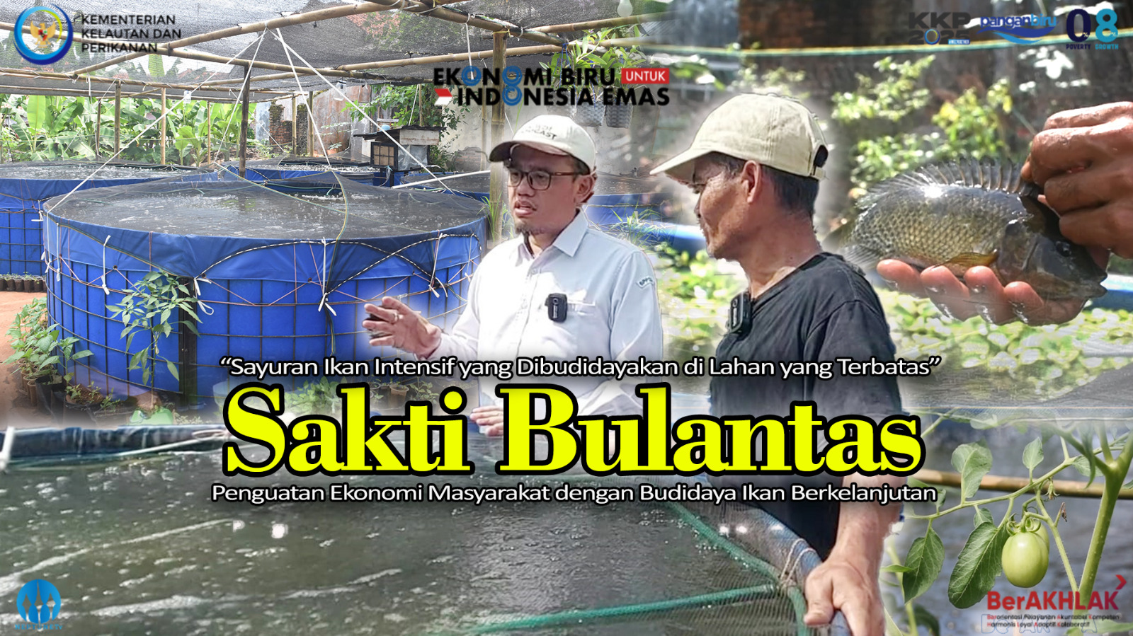 Sakti Bulantas Sayuran Ikan Intensif yang Dibudidayakan di Lahan yang Terbatas