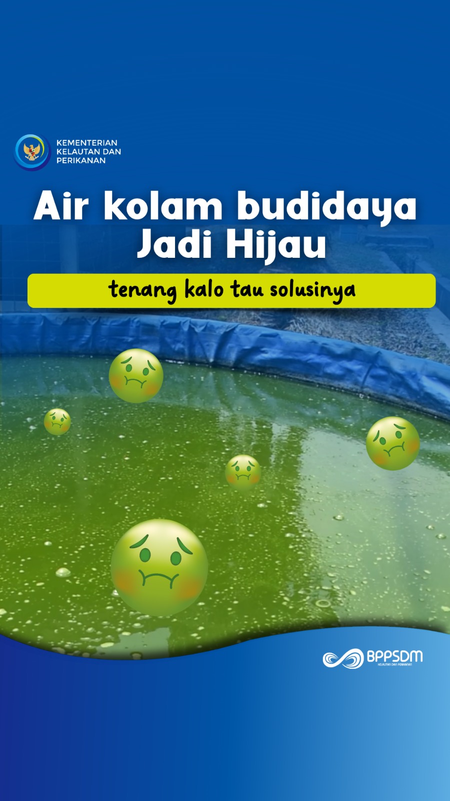 Air Kolam Budidaya Jadi Hijau, Tenang Kalo Tau Solusinya