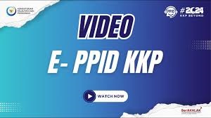 Video PPID