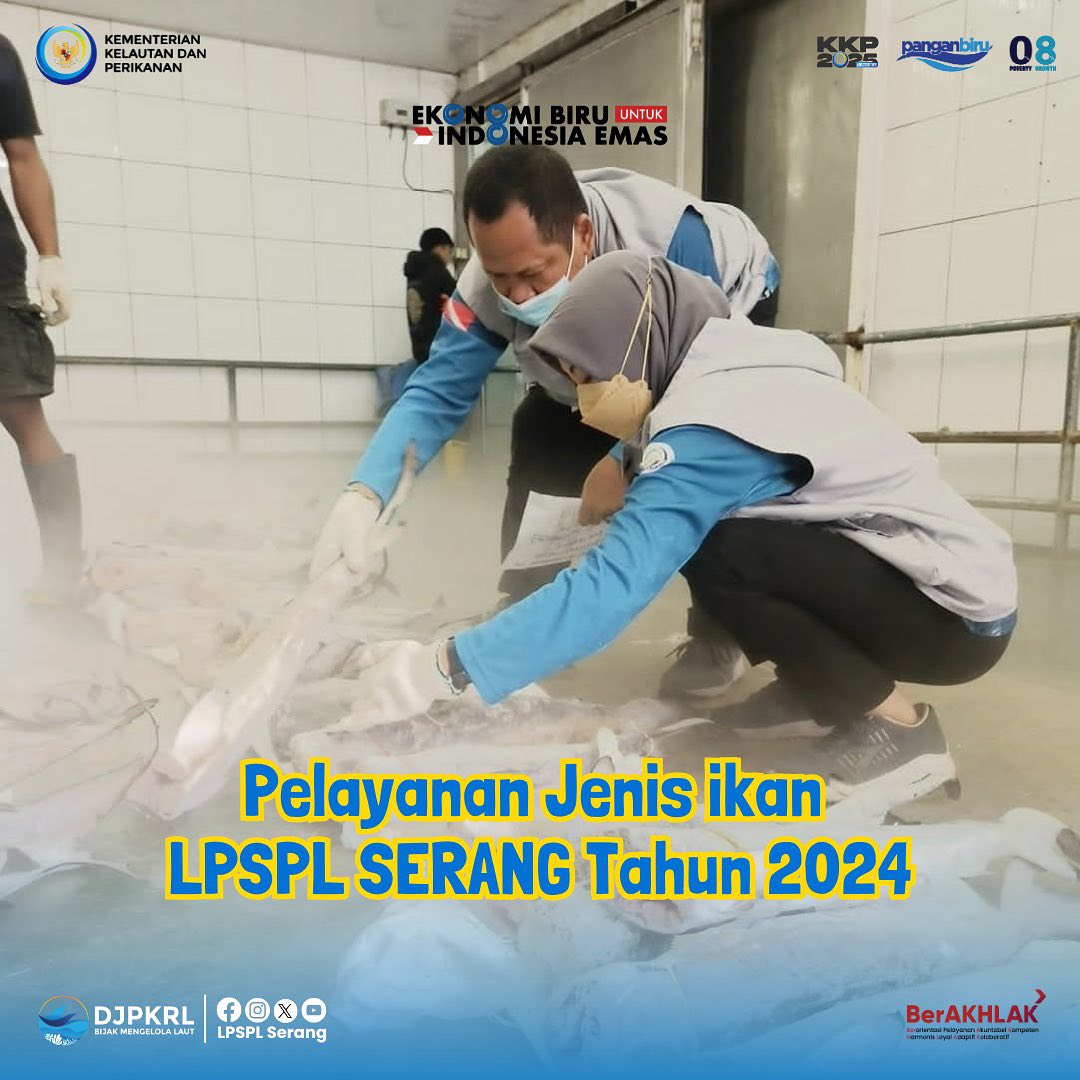 Rekapitulasi Pelayanan Jenis Ikan LPSPL Serang Tahun 2024