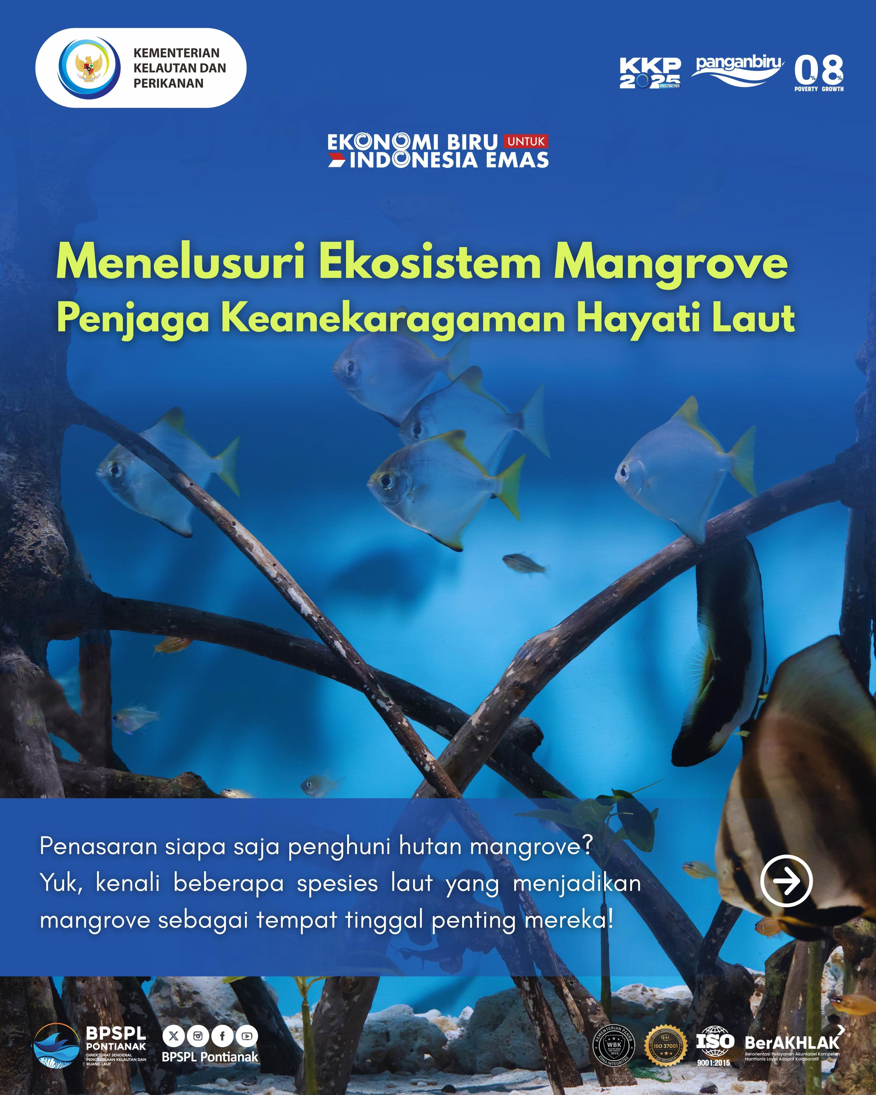 Menelusuri Ekosistem Mangrove Penjaga Keanekaragaman Hayati Laut