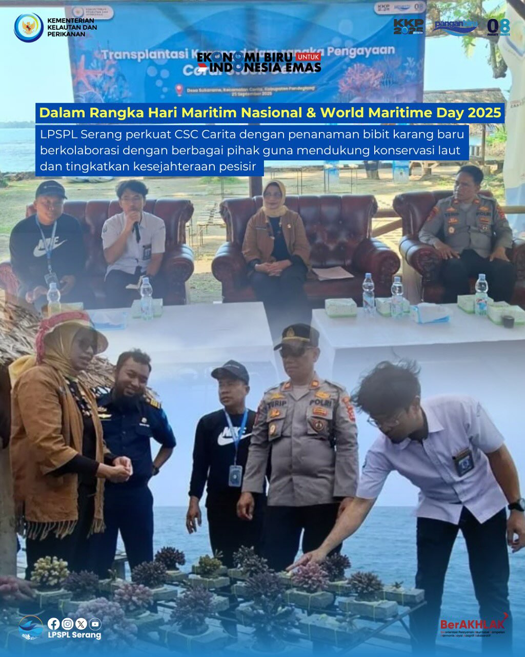 Transplantasi Karang Pengayaan Coral Stock Center