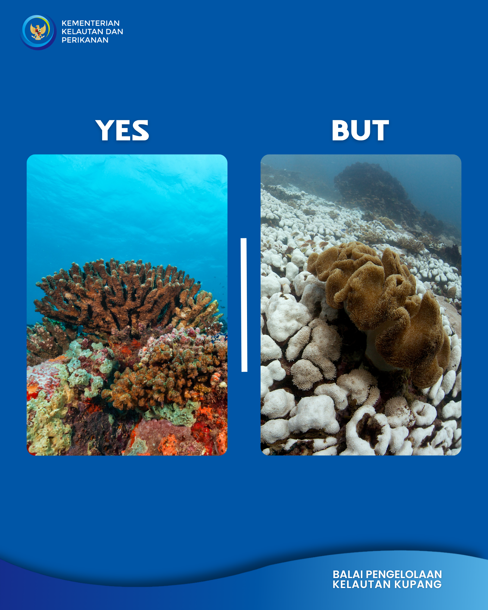 World Ocean Day 2026
