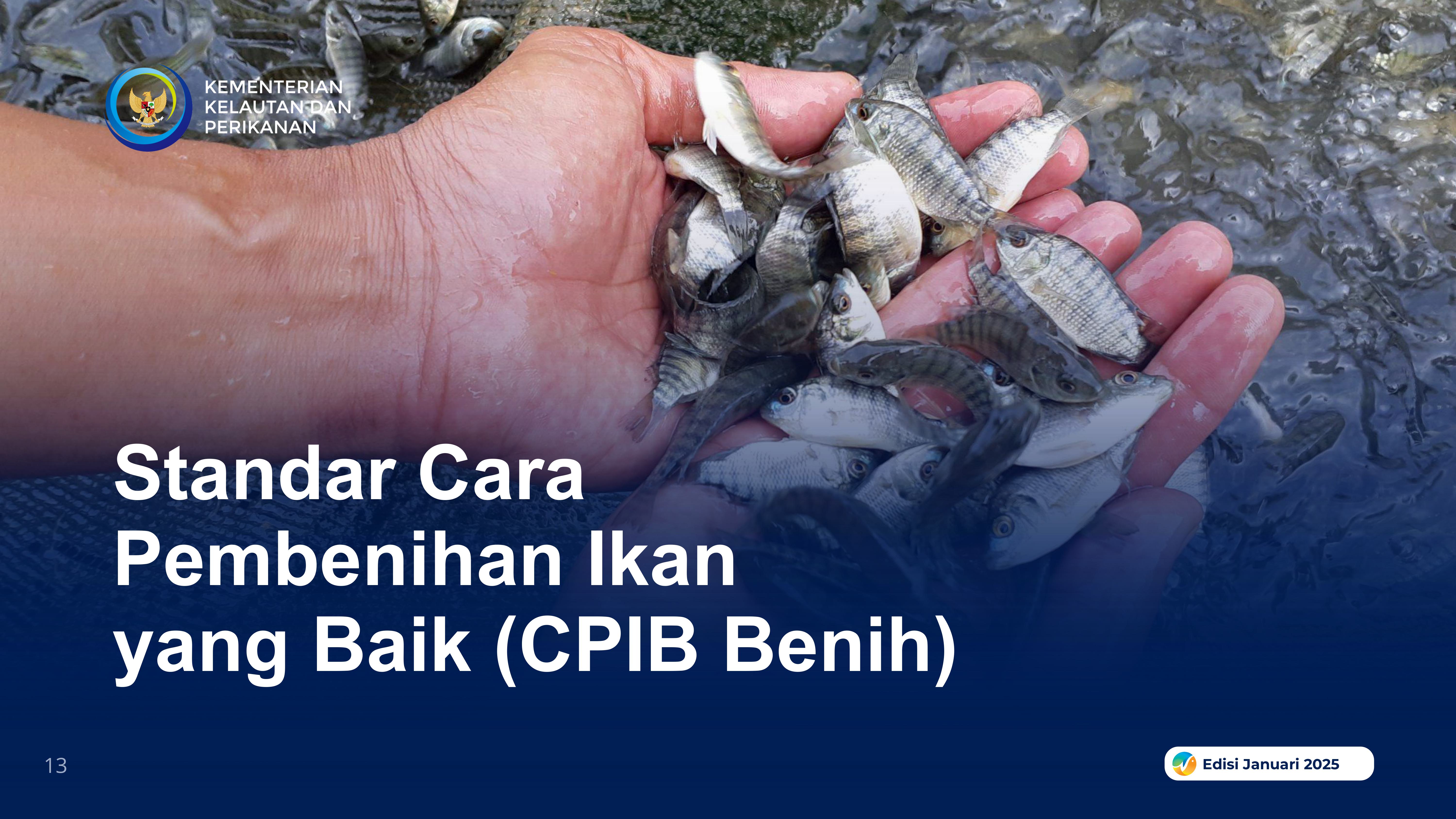 Cara Pembenihan Ikan yang Baik (CPIB Benih)