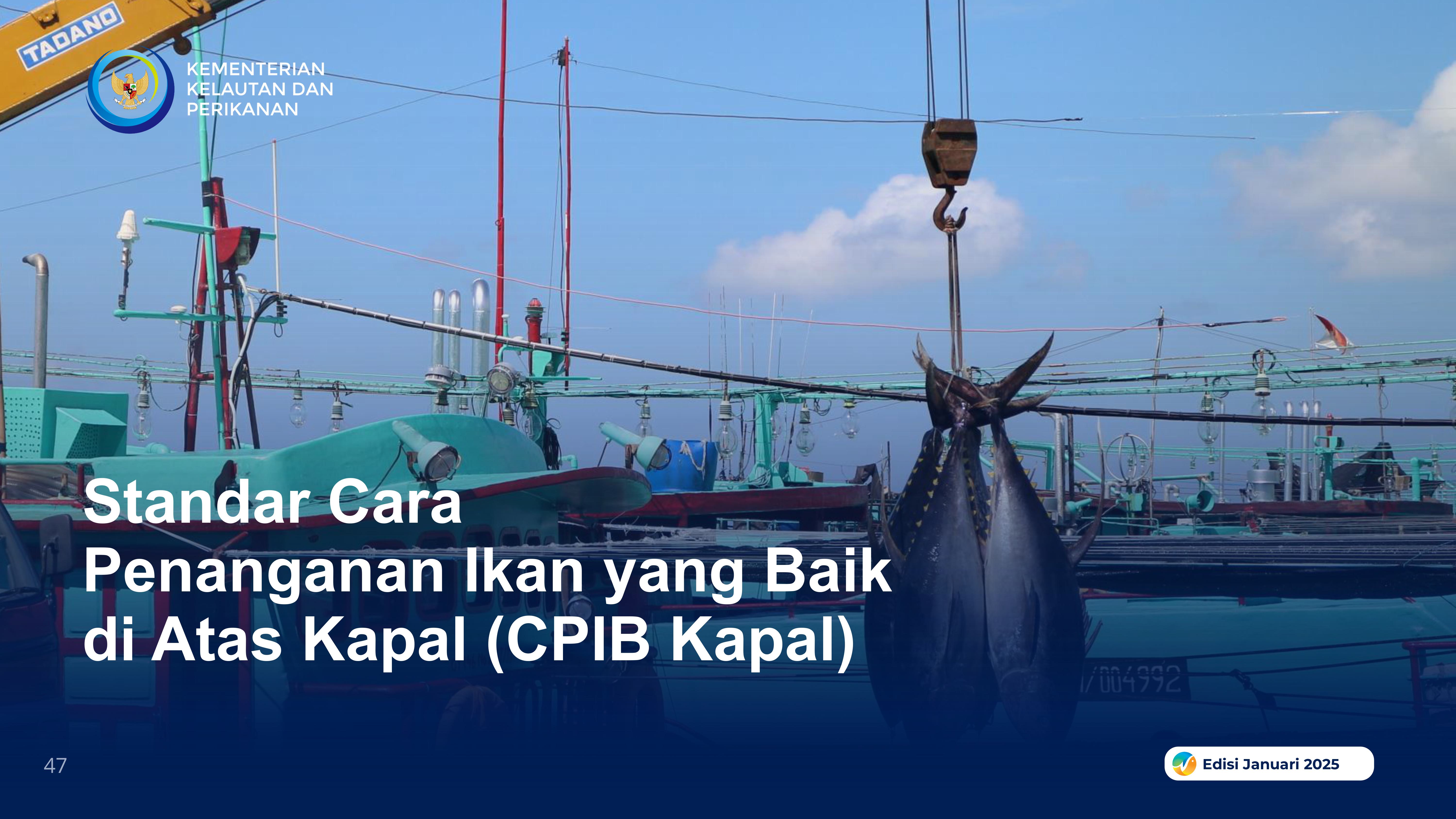 Cara Penanganan Ikan yang Baik diatas Kapal (CPIB Kapal)