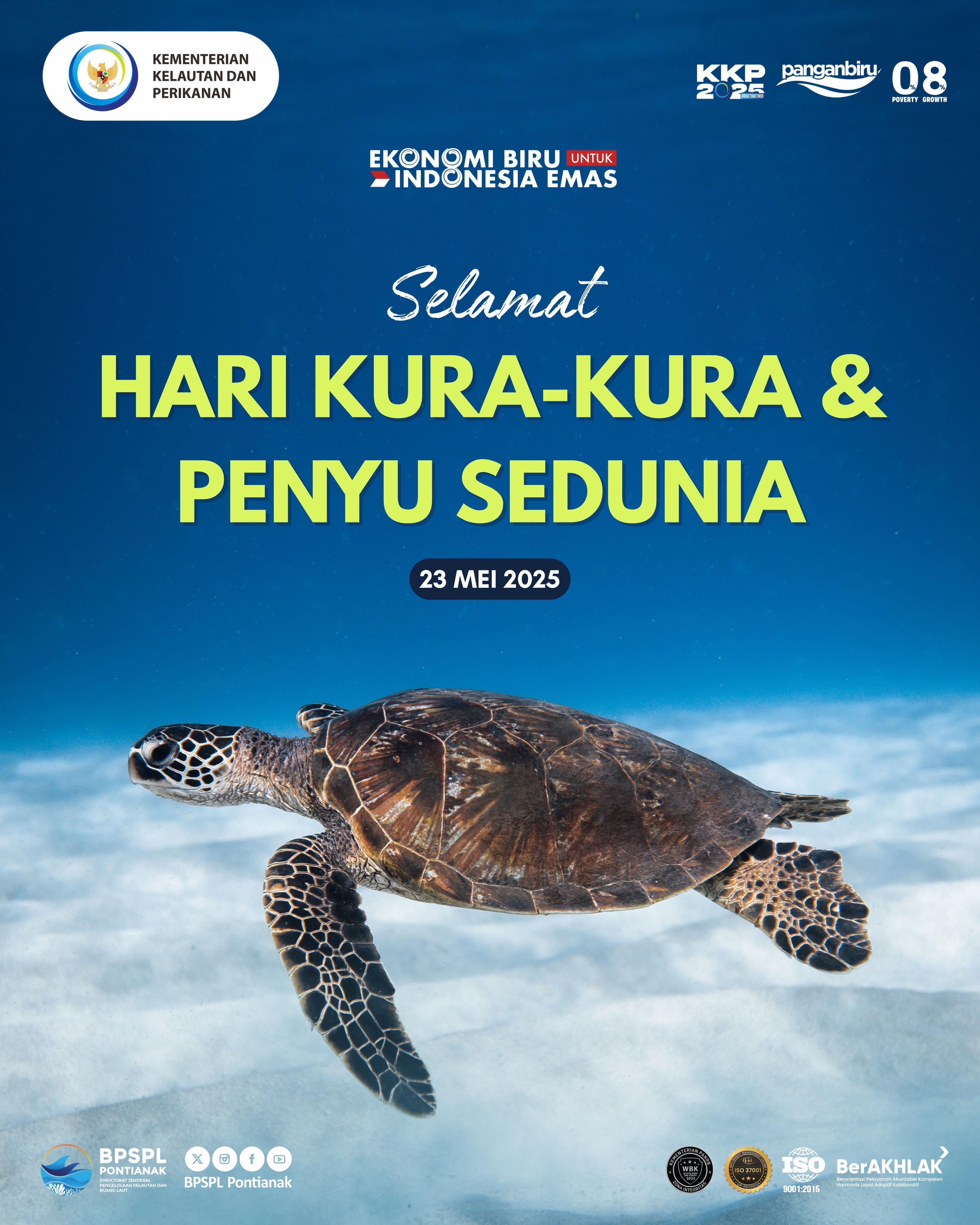 Selamat Hari Kura - Kura dan Penyu Sedunia