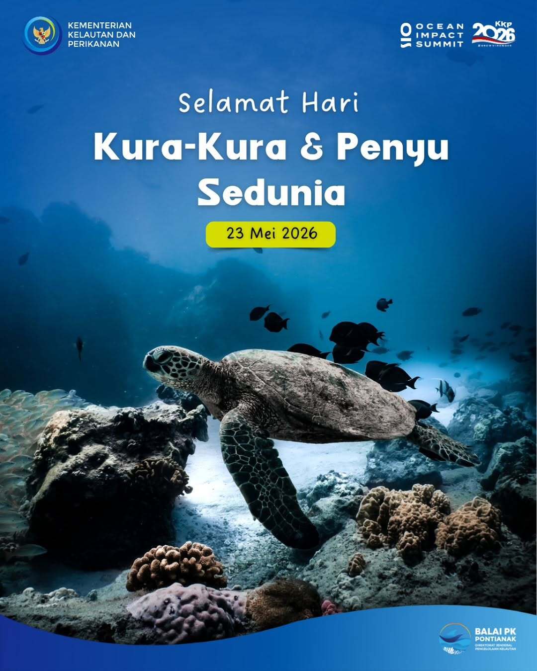 Hari Kura-Kura dan Penyu Sedunia