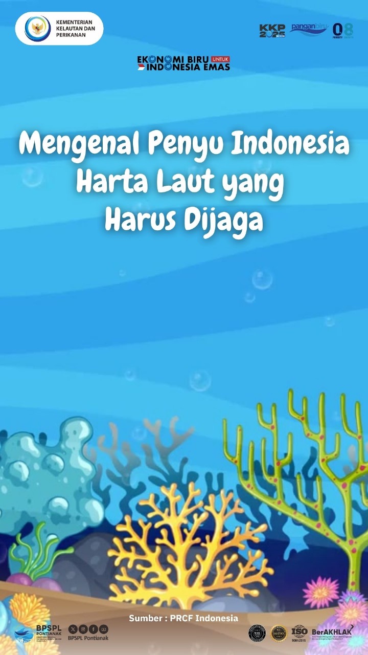 Selamatkan Penyu Selamatkan Laut Kita