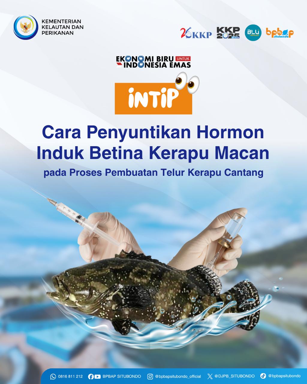 10 Komoditas Unggulan BPBAP Situbondo