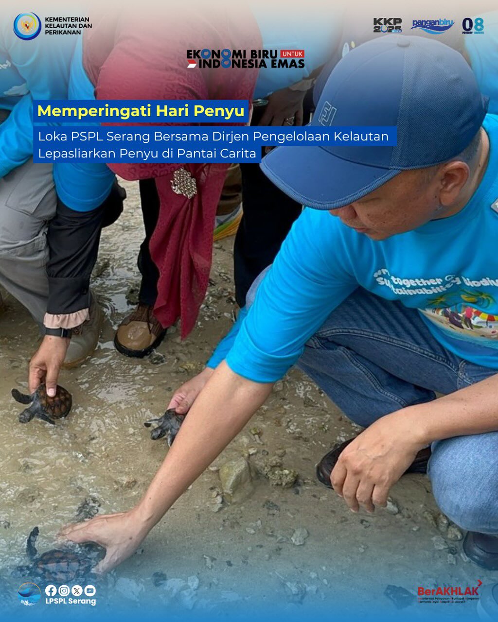 Memperingati Hari Penyu Sedunia