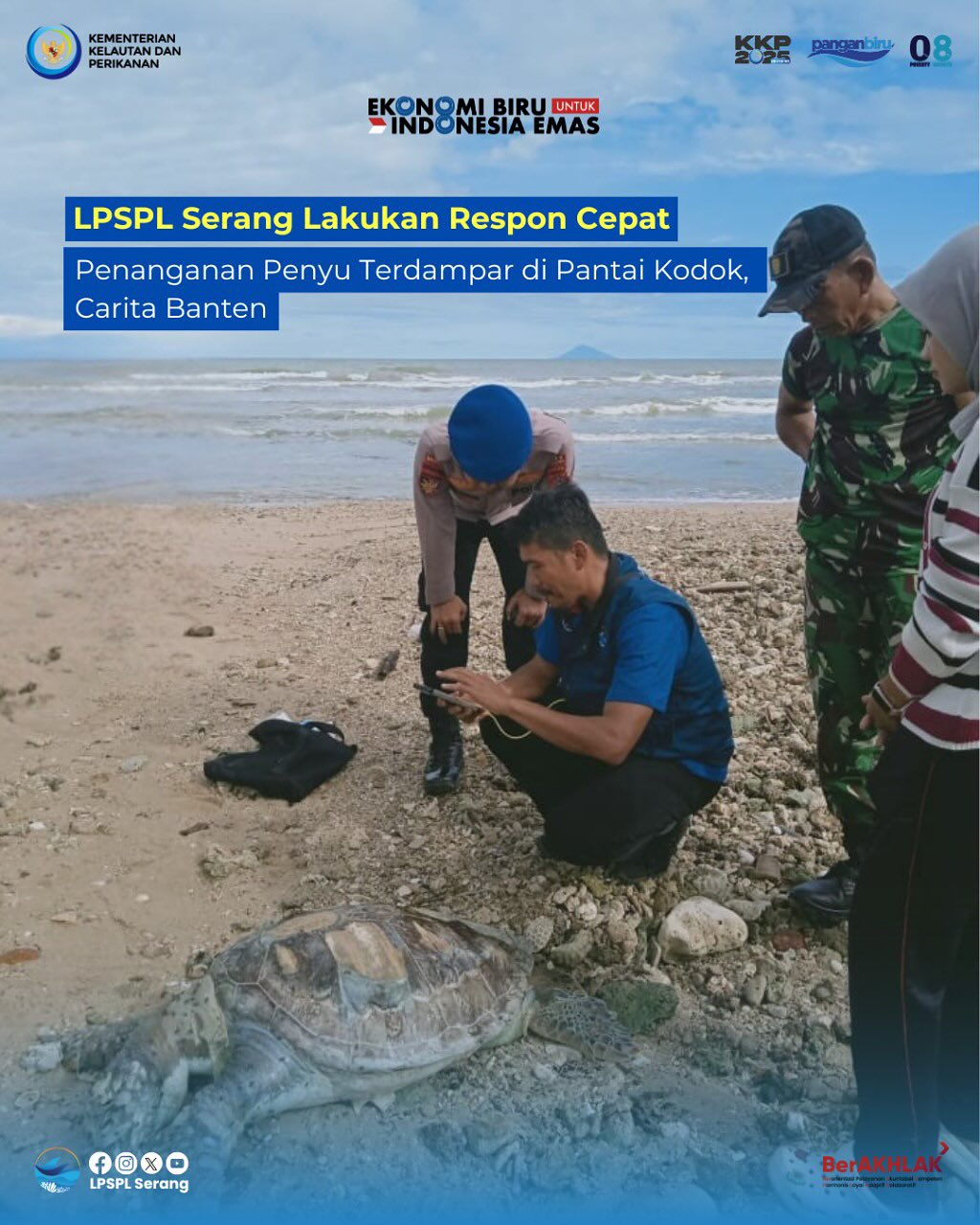 Respon Cepat Penanganan Penyu Terdampar
