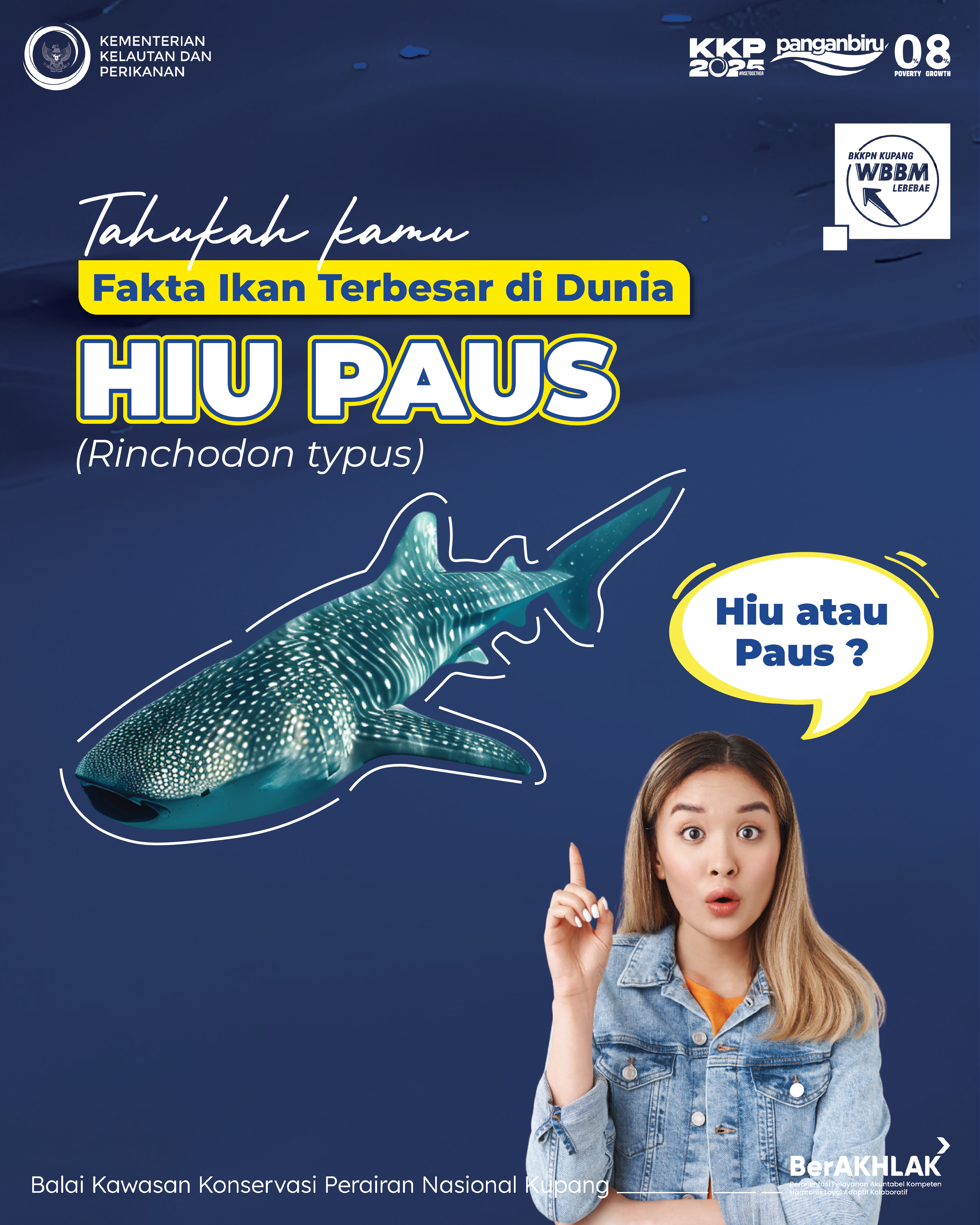Fakta Hiu Paus, Si Ikan Terbesar di Dunia