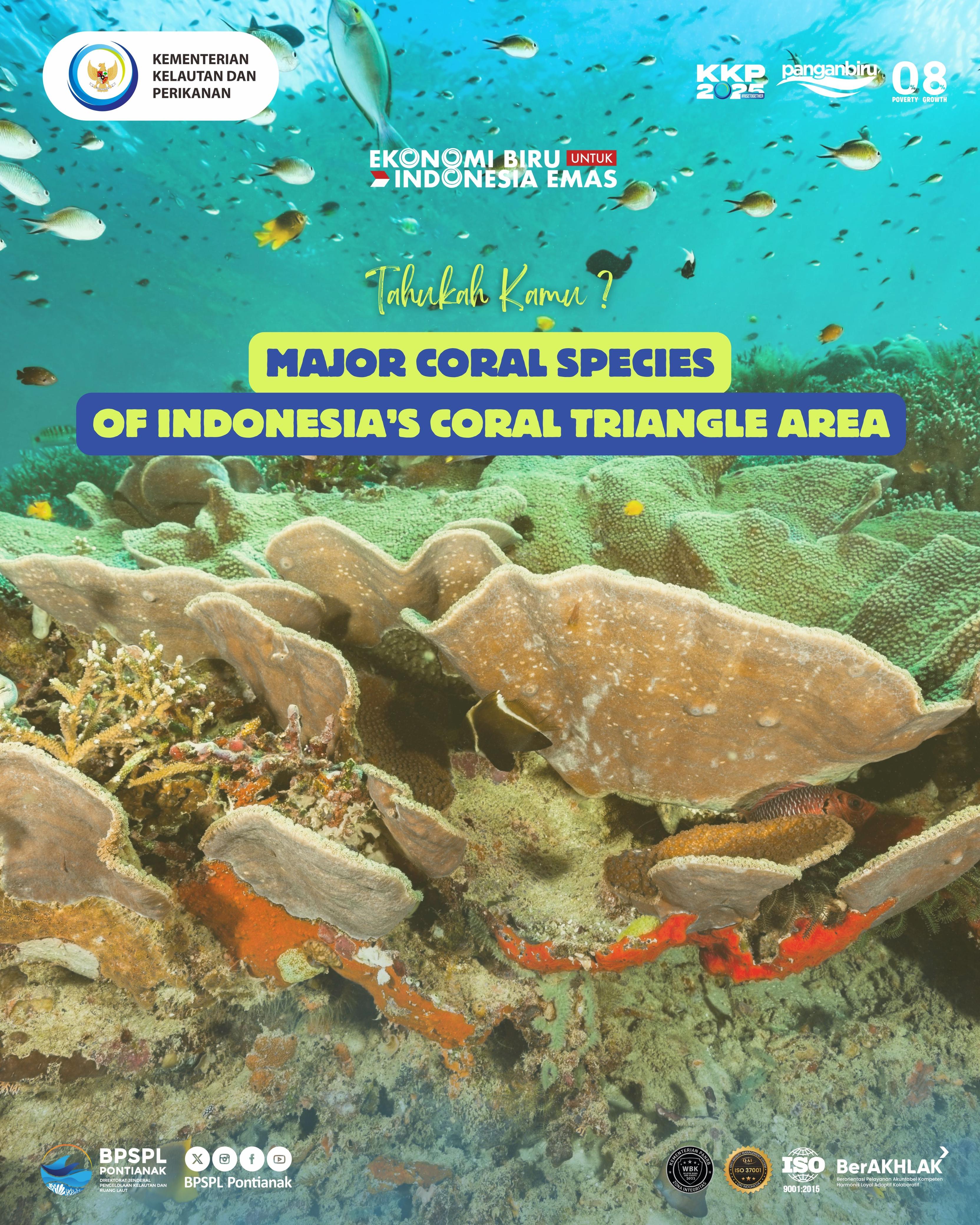 Major Coral Species of Indonesias Coral Triangle Area