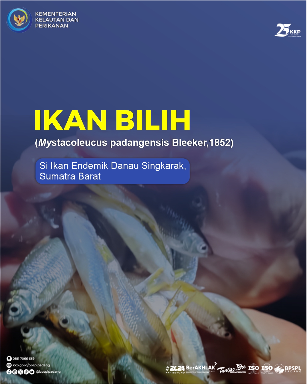 Mengenal Ikan Endemik dari Sumbar