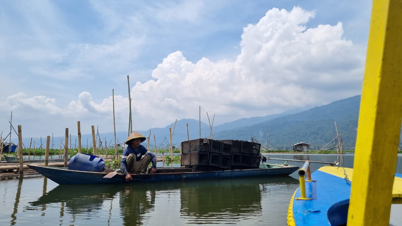 Monitoring Populasi Ikan Belida