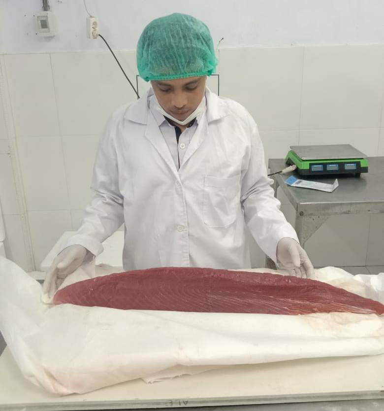 Verifikasi Lapangan Produk Ikan Tuna yang Akan di Ekspor