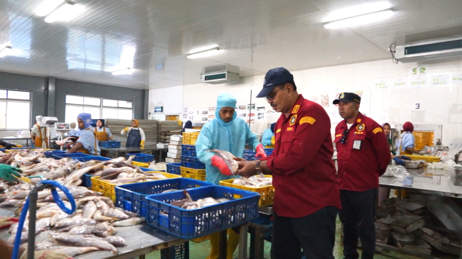 PPN Tual Pastikan Stok dan Stabilitas Harga Ikan di Tual dan Maluku Tenggara Pada Saat Libur Nataru
