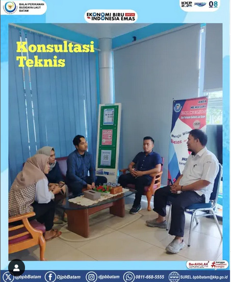 Konsultasi Budidaya ikan Nemo