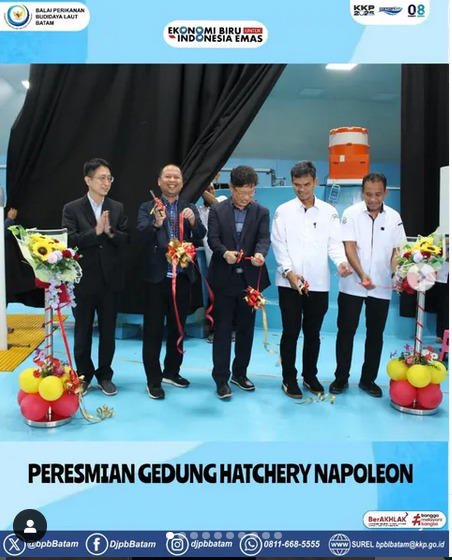 Peresmian Hatchery Napoleon