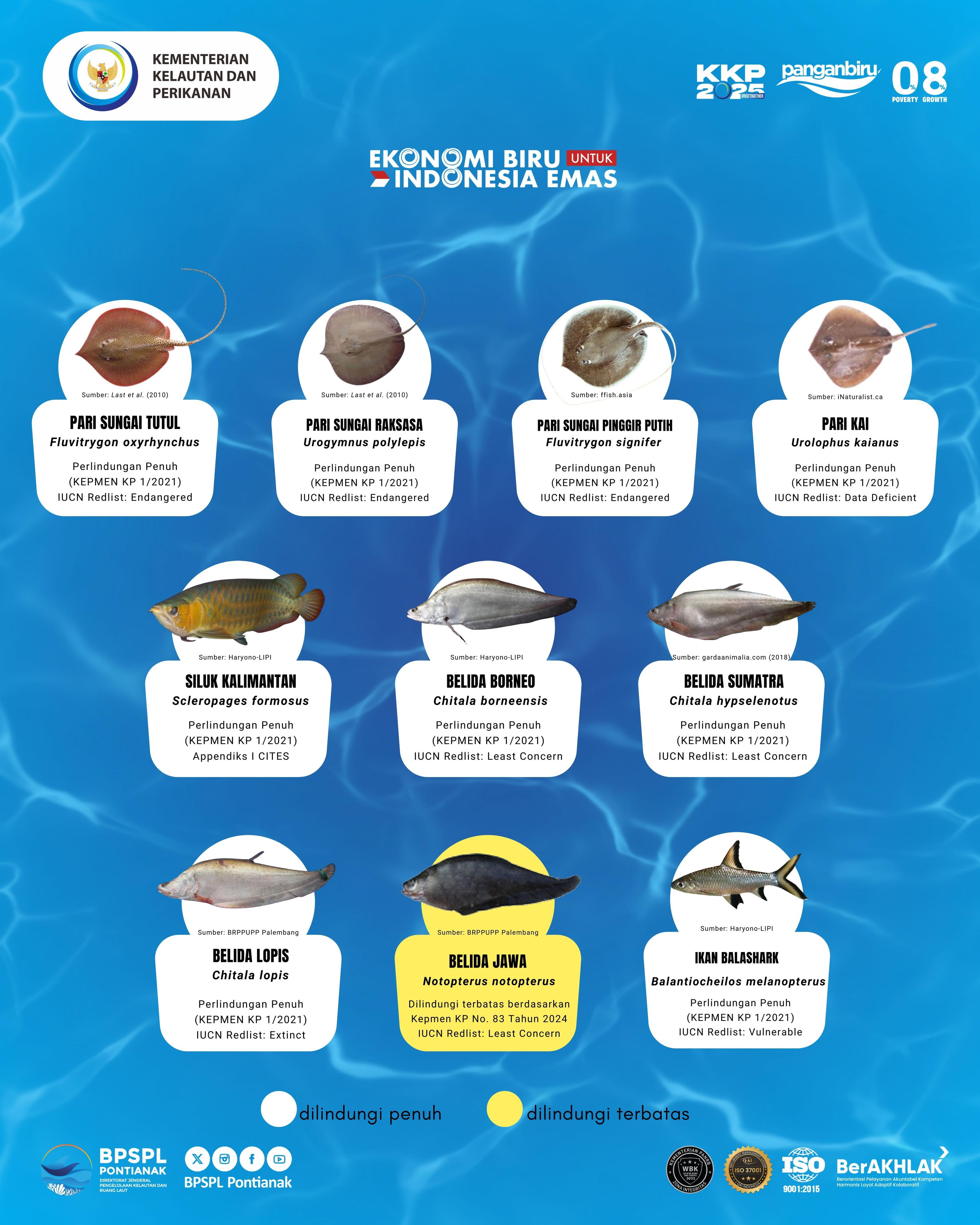 Jenis Ikan Dilindungi