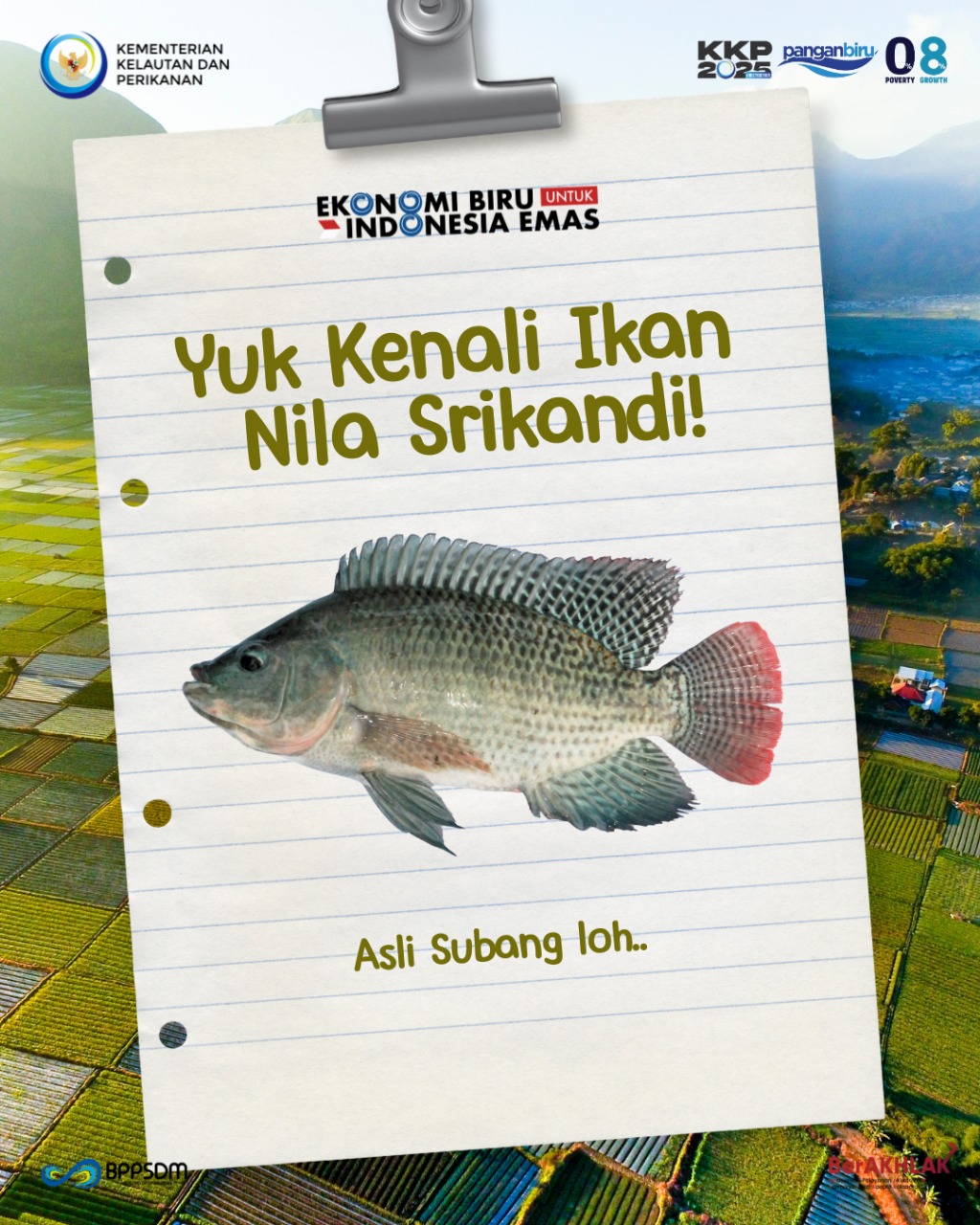 Yuk Kenali Ikan Nila Srikandi