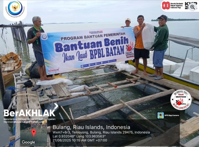 Pendistribusian benih ikan kakap putih