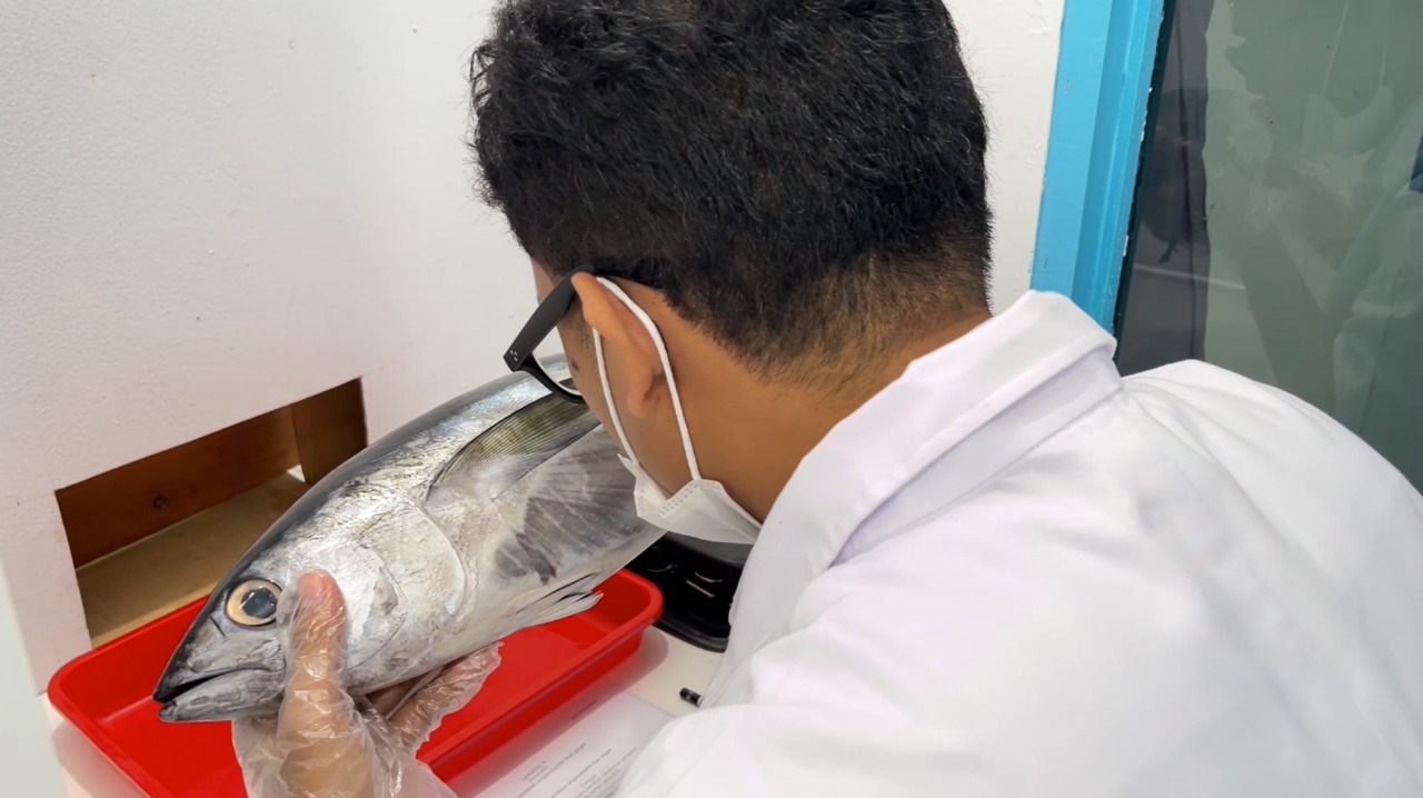 Pengujian Organoleptik di Laboratorium BPPMHKP Jayapura