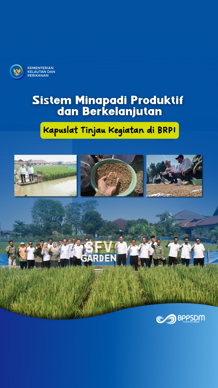 Sistem Mina Padi Produktif dan Berkelanjutan, Kapuslat Tinjau Kegiatan di BRPI