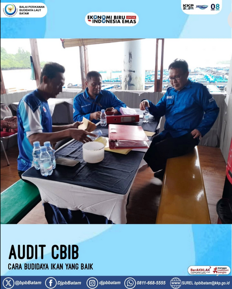 Audit CBIB