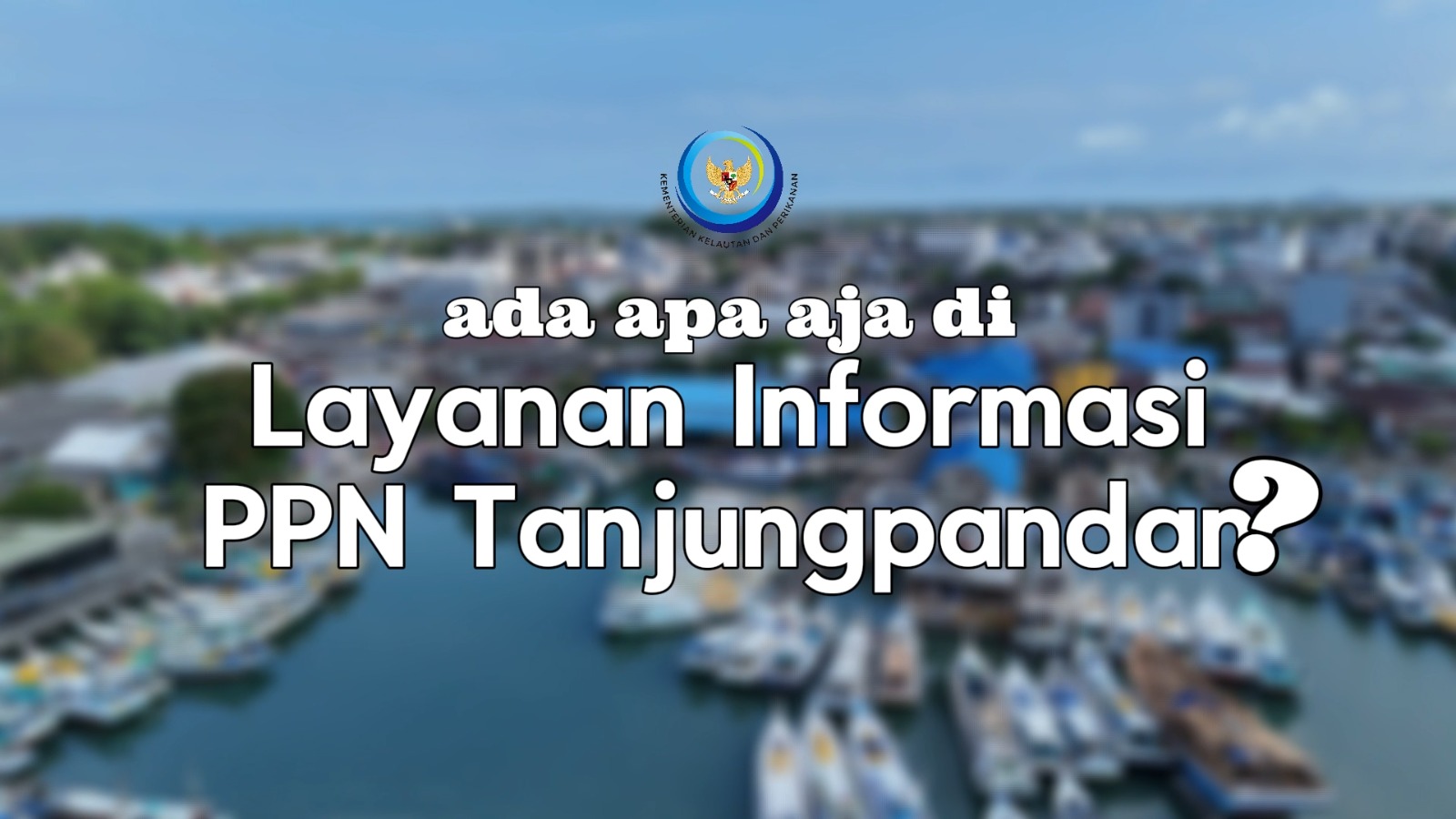 Ada apa saja di Layanan Informasi PPN Tanjungpandan