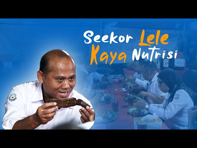 Seekor Lele Kaya Nutrisi