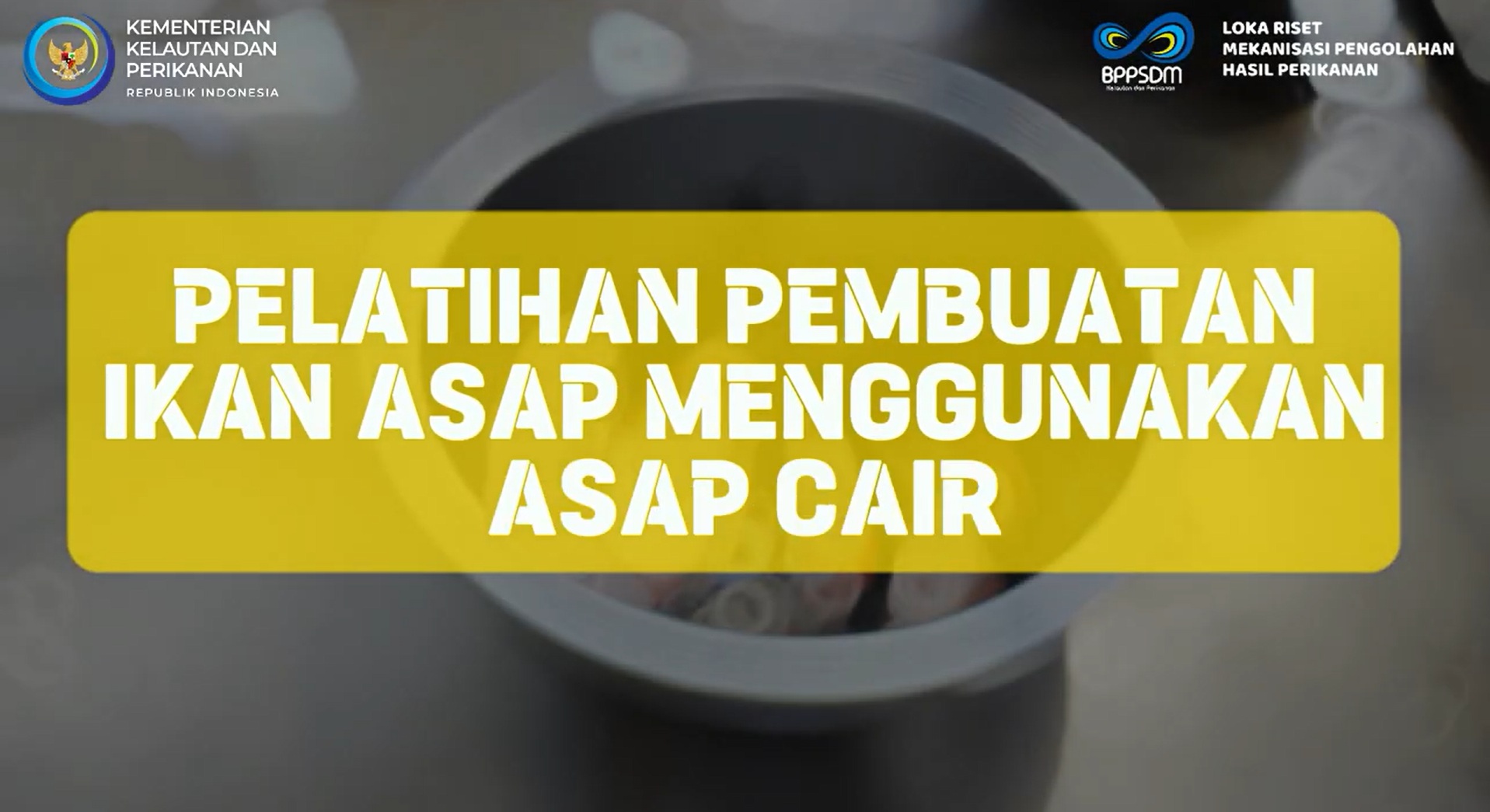 Kegiatan Pelatihan Pembuatan Ikan Lele Asap dari Asap Cair