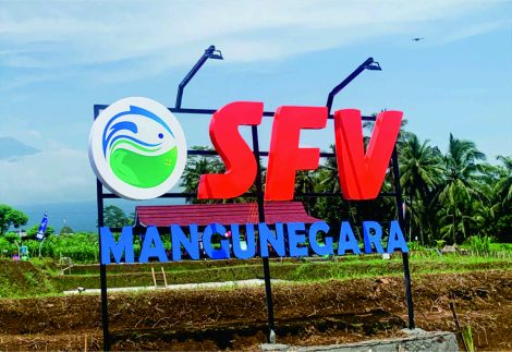 SFV MANGUNEGARA KAB. PUBALINGGA